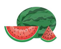 dibujo vectorial de ilustración de fruta de sandía fresca vector