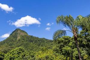montaña abraao pico do papagaio con nubes. ilha grande brasil. foto