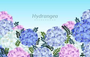 Blooming Hydrangea Background vector