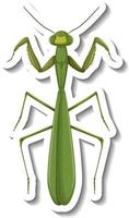 A sticker template with top view of a mantis isolated vector