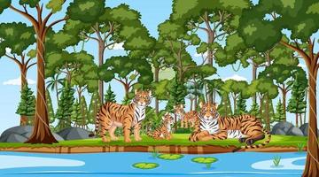 familia de tigres en la escena del bosque con muchos árboles vector