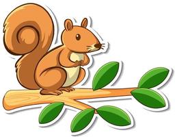Cute squirrel standing on a branch sticker
