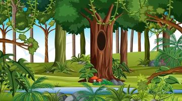 Forest at daytime landscape scene vector