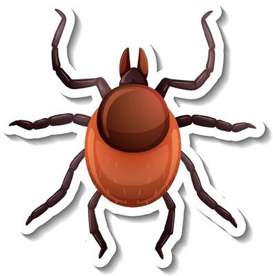 A sticker template with top view of a tick isolated