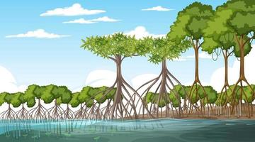 escena del paisaje del bosque de manglares durante el día