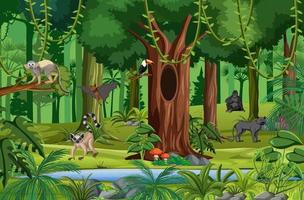 Rainforest Animals Vector Art, Icons, and Graphics for Free Download