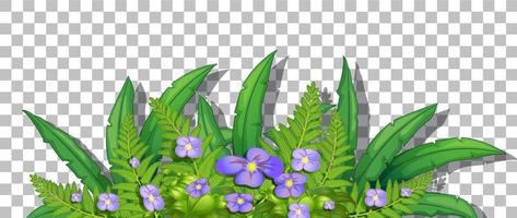 Flower bush with leaves isolated vector