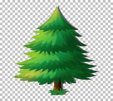 árbol de hoja perenne aislado vector