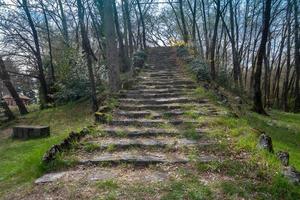 Bottom view of the steps in the park among the trees in spring photo