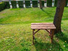 Wooden bench near the tree in the park, illuminated by the sun photo