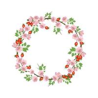 Rosehip wreath. Round frame, cute pink flowers rose red fruits vector