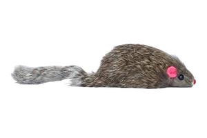 toy for cat, mouse on a white background, isolate photo