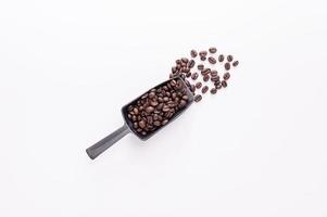 coffee beans white background scene photo