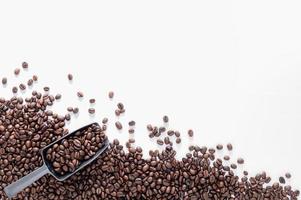 coffee beans white background scene photo