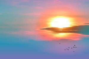 sunset back on the evening light pastel cloud on sky and birds flying photo