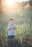 niño asiático feliz jugando al aire libre. lindo asiático. chico en el campo. foto