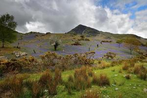 Tourists and the Rannerdale Blue Bells photo