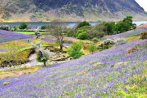 Tourists and the Rannerdale Blue Bells photo