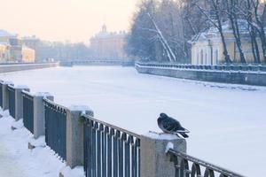 winter beautiful city landscape, view of the frozen embankment photo