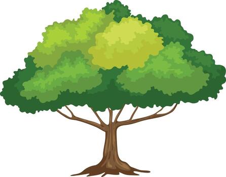 Tree vector  vector