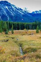 Peter Lougheed Provincial Park Alberta Canada photo