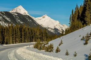 Roadside. Peter Lougheed Provincial Park photo