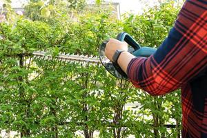 Gardener holding electric hedge trimmer to cut the treetop in garden. photo