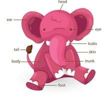 parte del vocabulario del elefante del vector del cuerpo