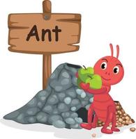 letra del alfabeto animal a para hormiga vector