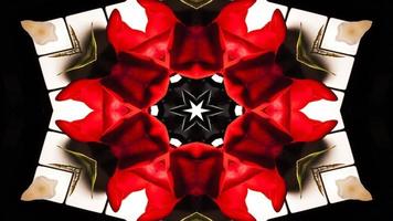 Colorful Hypnotic  Symmetric Kaleidoscope photo