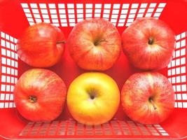 manzanas rojas en una canasta foto