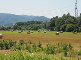 Hay bale in a field photo