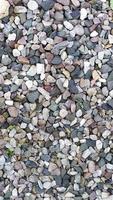 Pebbles small. Background from multicolored river pebbles. photo