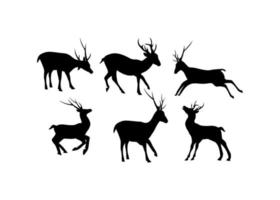 vector de plantilla de diseño de icono de ciervo aislado