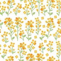 Rapeseed pattern on white background. Vector hand drawn illustration.