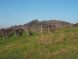 Roero hills in Piedmont photo