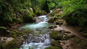 arroyo del río y cascadas en el tramo después video