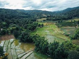 el camino a la granja y los campos foto