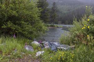 Large boulders and wildflowers by small pond during rainy day