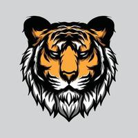 Tiger head drawing vector