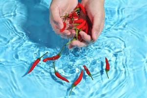 Woman hand washing bird pepper in water. photo