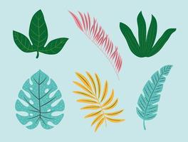 leaves icon collection vector