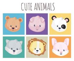 collection of icons with animals vector