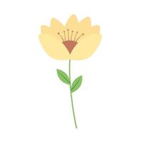 yellow color flower and leafs decorative icon vector