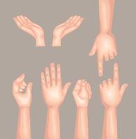 siete manos humanos vector