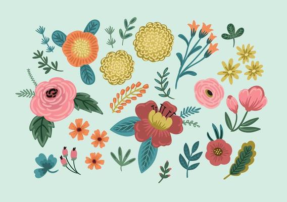 Set of floral design elements. Vector illustration.
