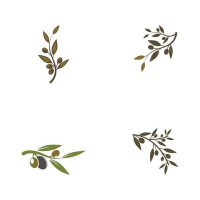Olive Leaf Vector Art, Icons, and Graphics for Free Download