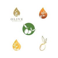 olive icon vector illustration design template