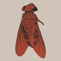 escarabajo dibujado a mano vintage grabado boceto insectos voladores vector
