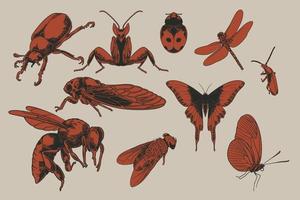 Big set of flying insects vector